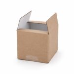 Boîte Carton Kraft Ouverte